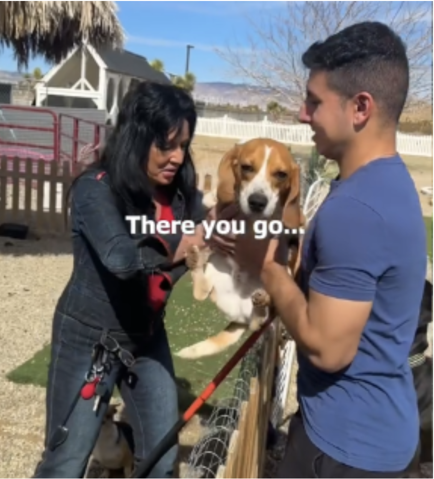 Watch This Two-Legged Beagle’s First Trip to the Beach—His Reaction Will Melt Your Heart